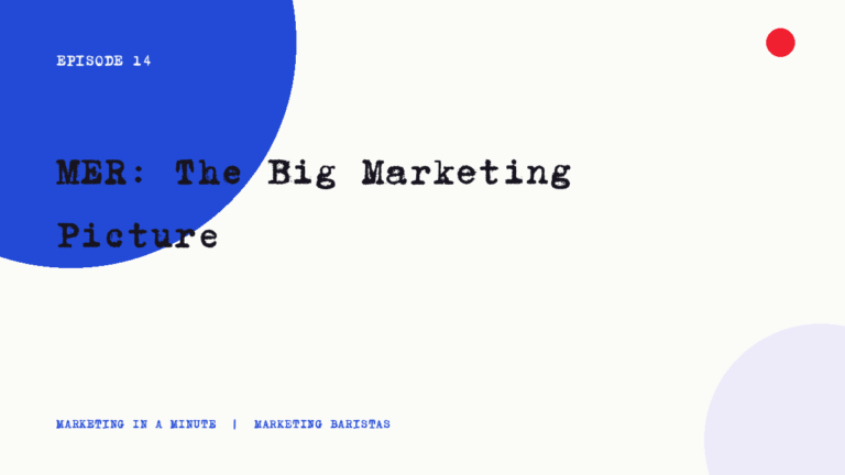 Ep. 14 | MER: The Big Marketing Picture mim ep14
